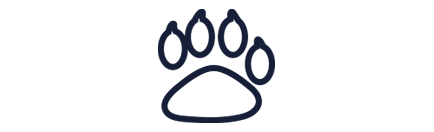 feature-item-1