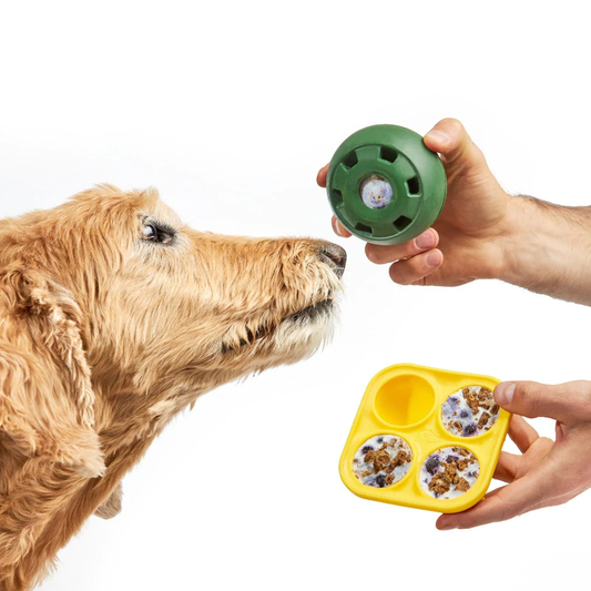 LickiBall – Juguete interactivo para perros - Incluye: LickiBall + Molde + Recetario + Envío Gratis